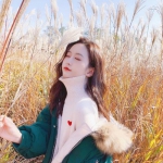 永盈会手机版app下载